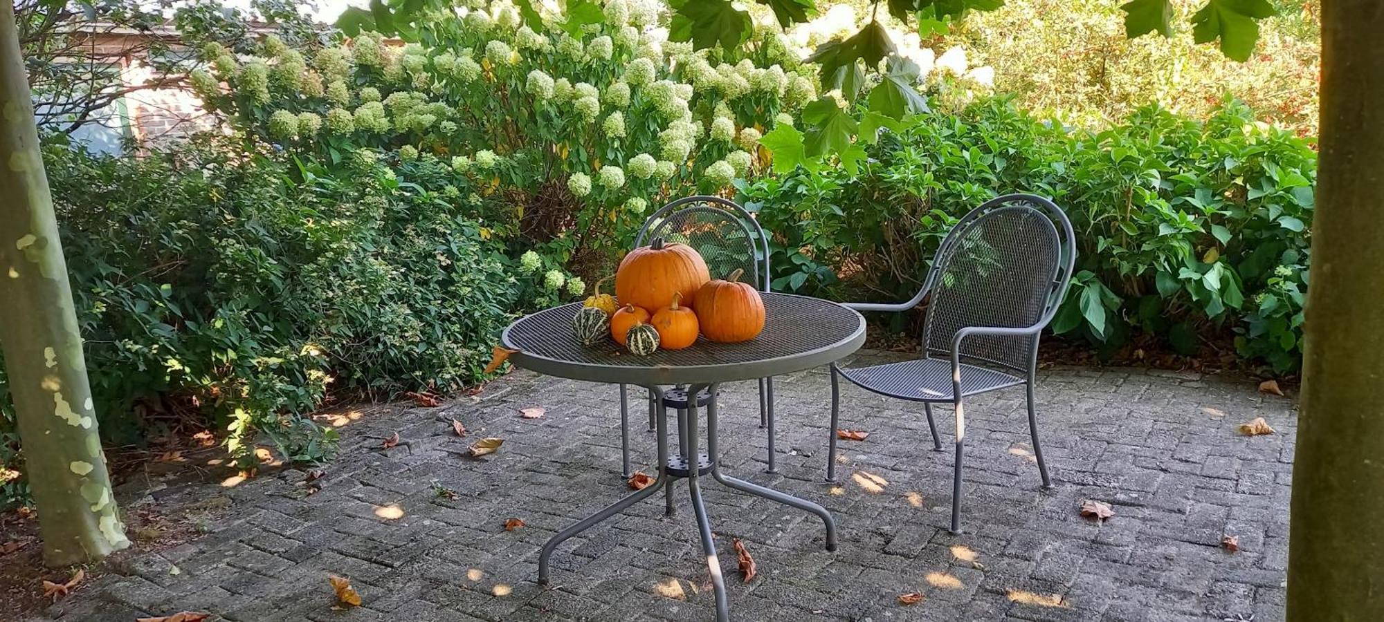 Hijken Roing B&B מראה חיצוני תמונה